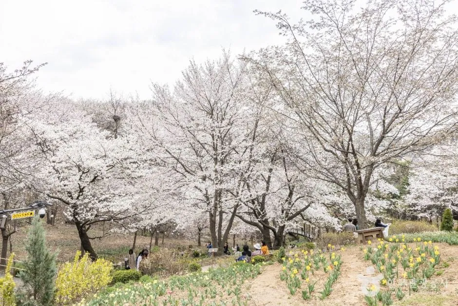 연희숲속쉼터