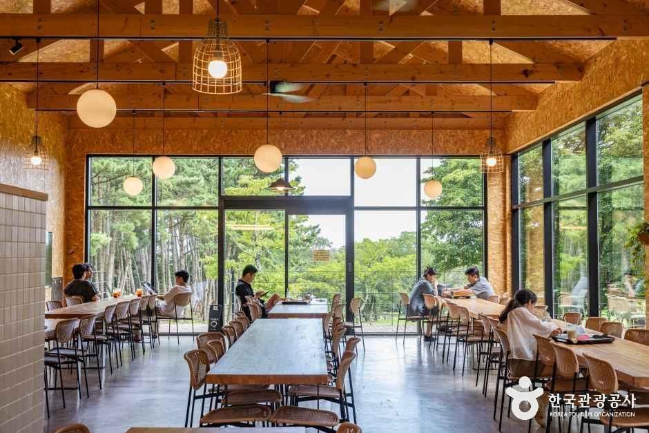 이끼숲소길 사진 2