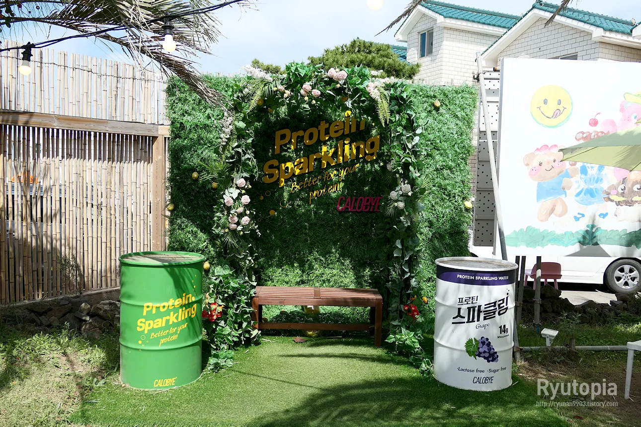 카페 노티드 제주 애월