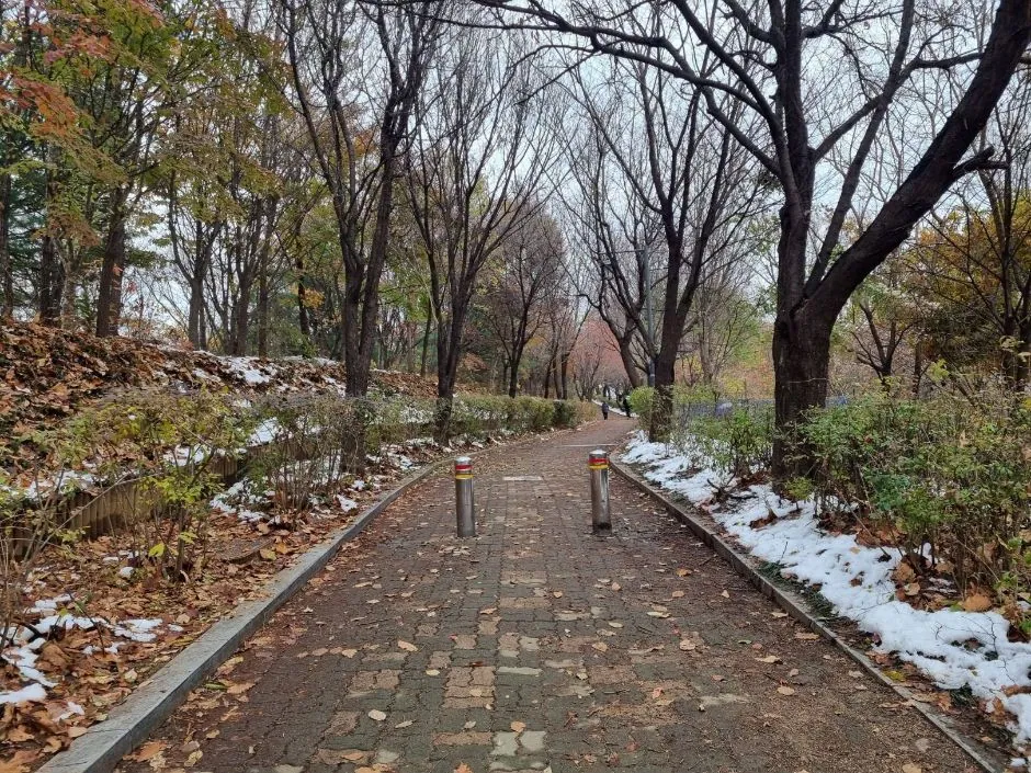 몽마르뜨공원 — 몽마르뜨공원 입구에서 공원까지 도착하는 길_2 (촬영일 미확인)