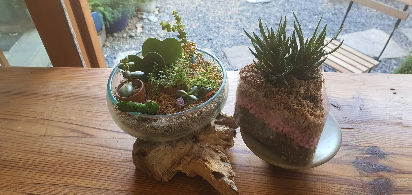 이채카페