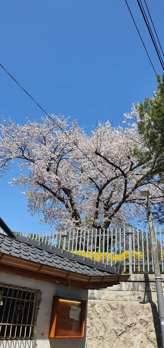 삼청동길