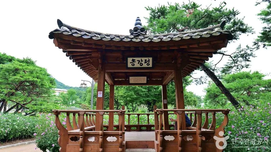 무궁화동산 사진 3