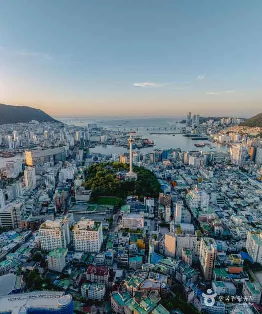 부산타워 사진 8