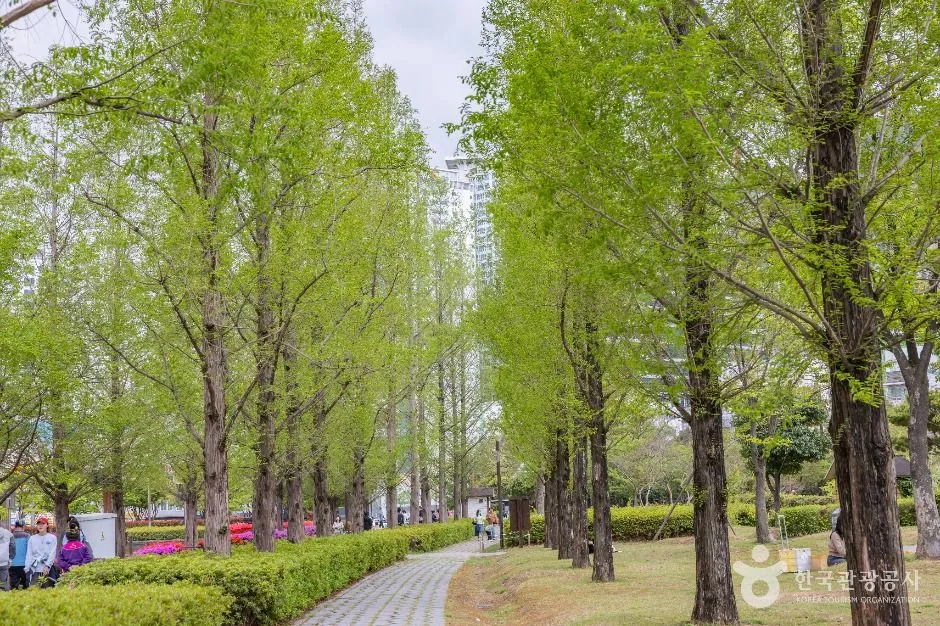 부산시민공원 사진 8