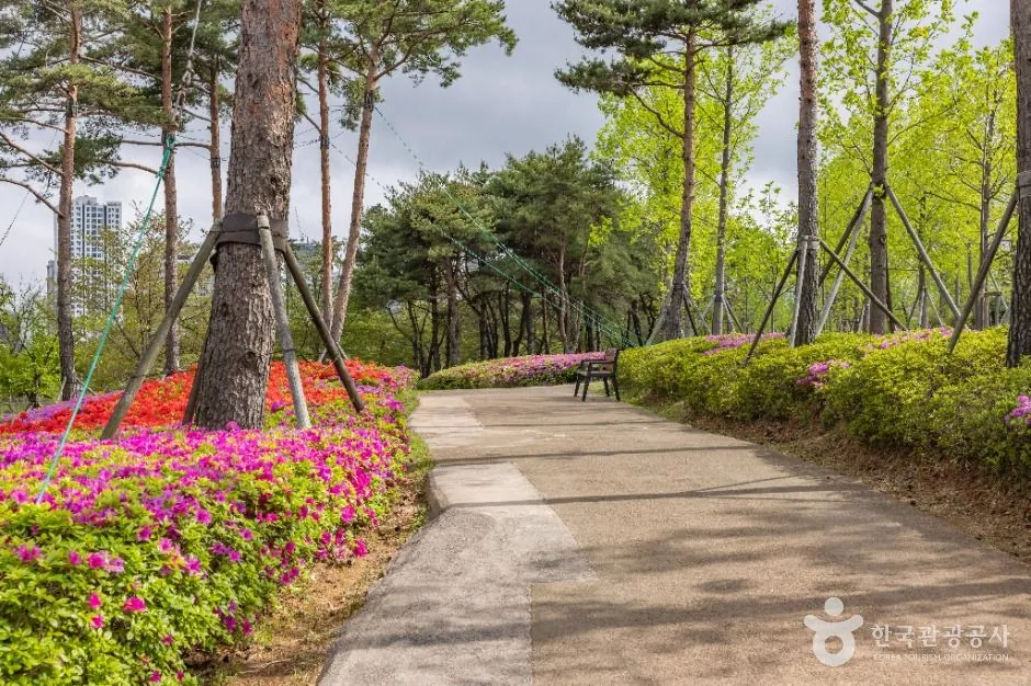 부산시민공원 사진 3