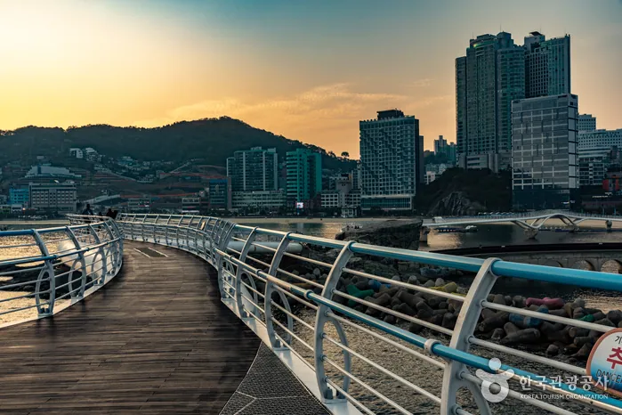 송도 구름 산책로 사진 3