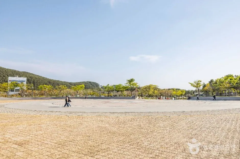 다대포 꿈의낙조분수 사진 4