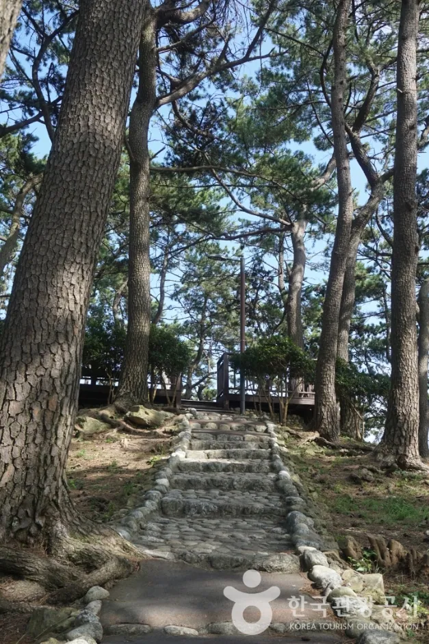죽도공원 사진 2