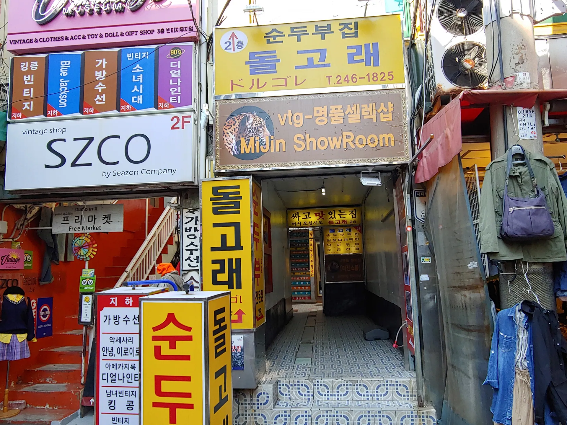 돌고래순두부