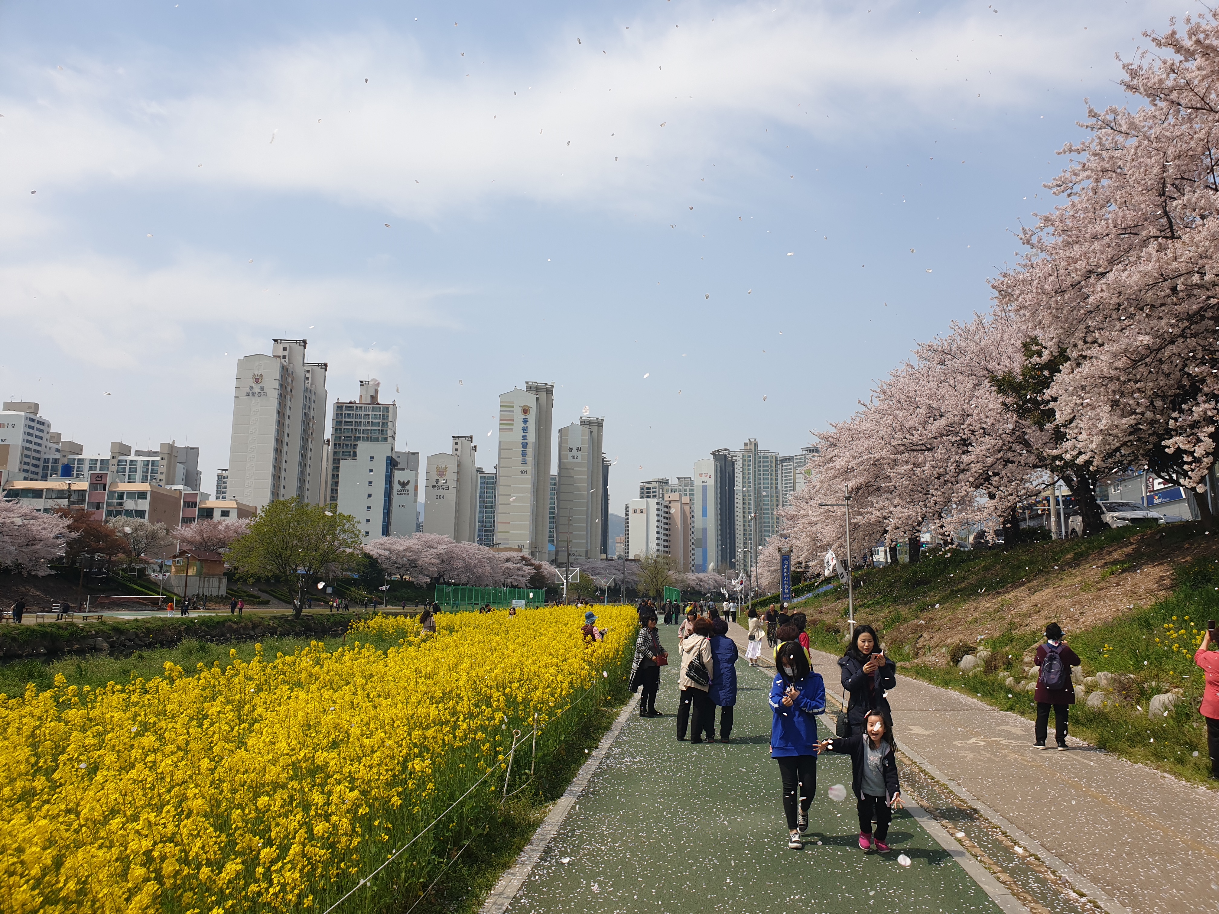 온천천
