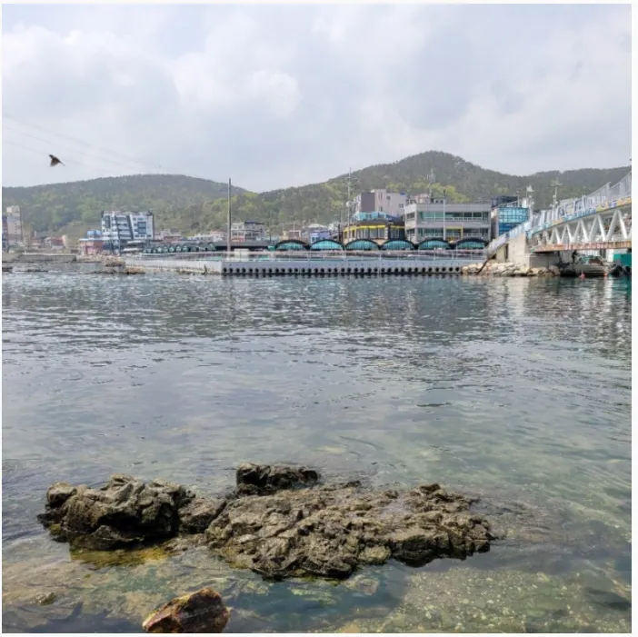 해물포장마차촌(연화리)