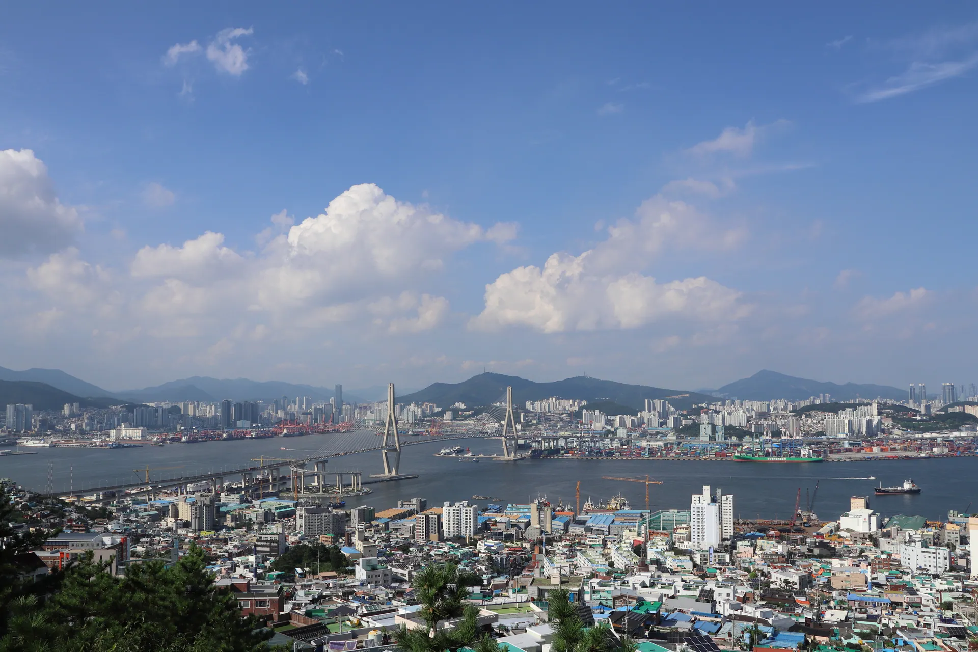 청학배수지전망대