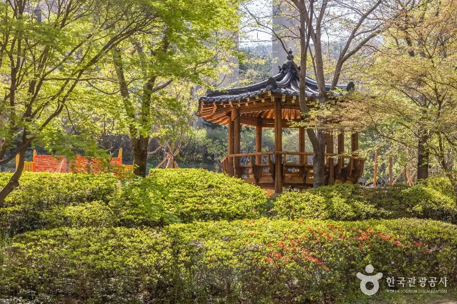 용소웰빙공원 사진 4