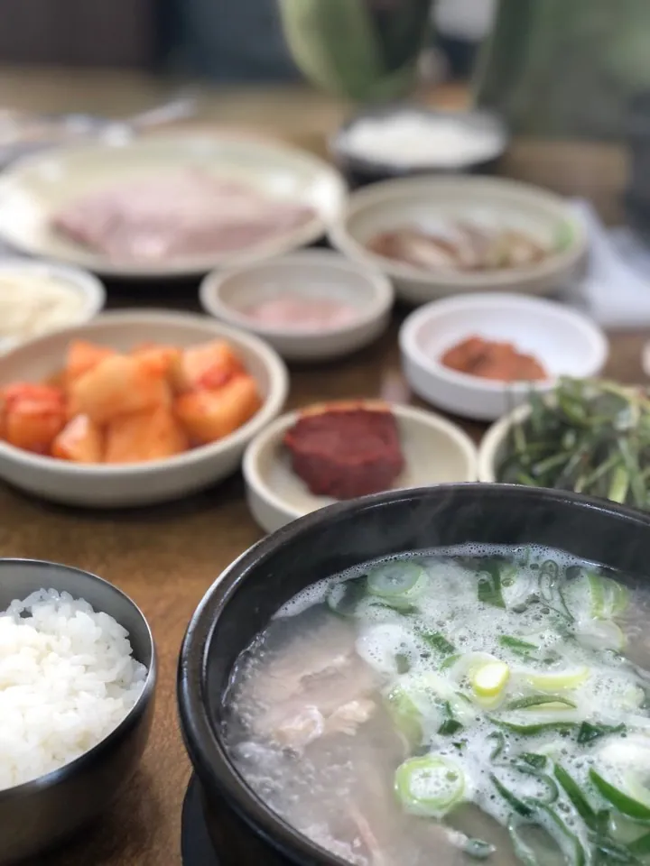 가야공원 돼지국밥 부산대점