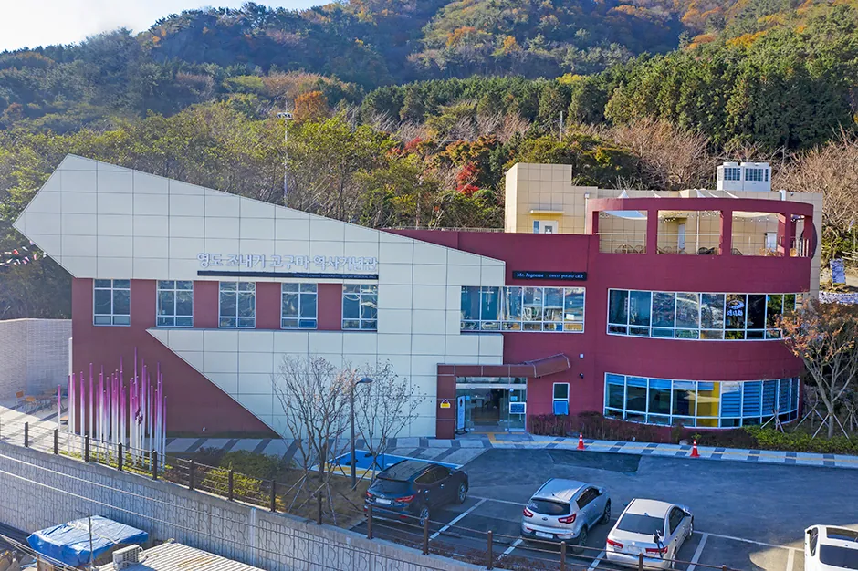 영도 조내기 고구마 역사기념관