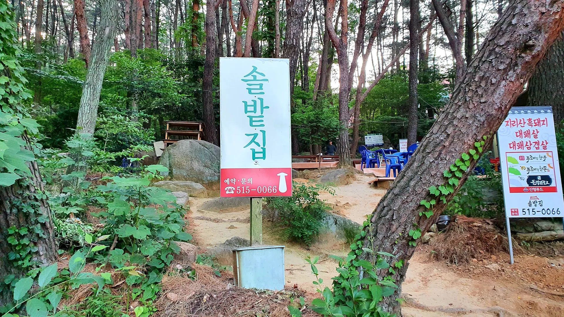 솔밭집