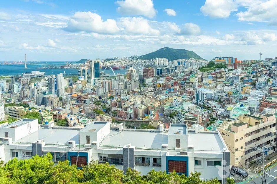 영주 하늘눈 전망대 사진 3