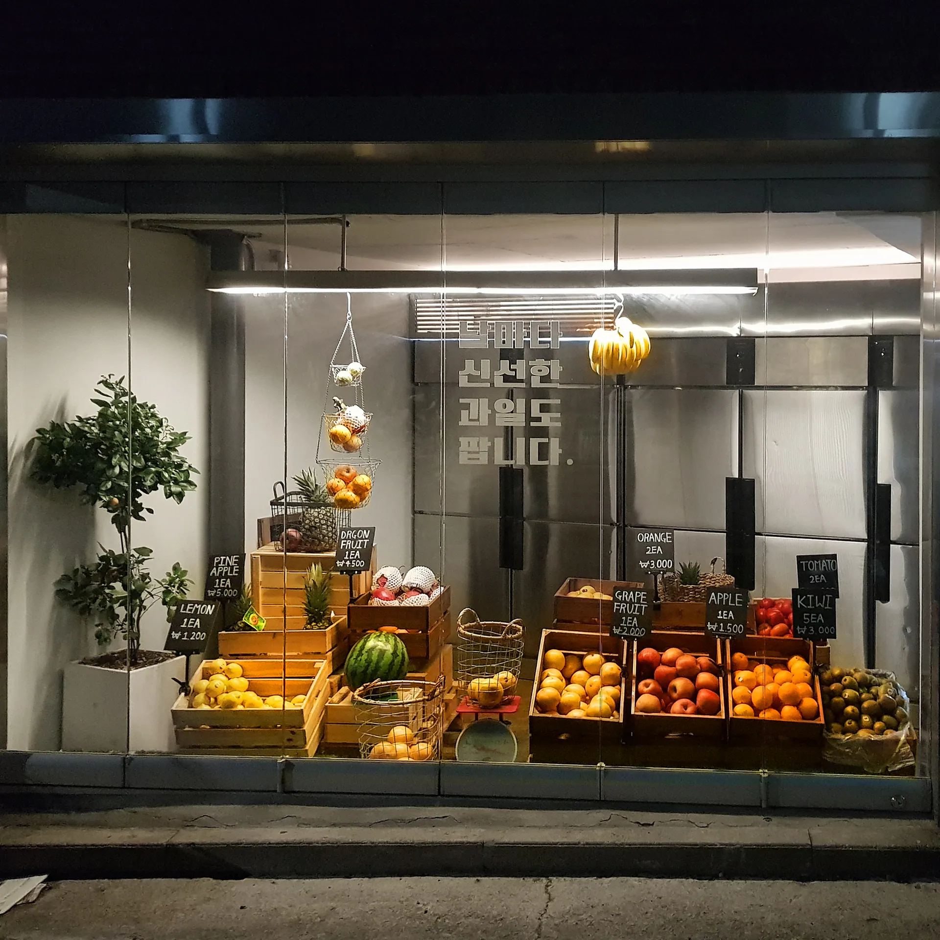 Jean Frigo (장프리고)