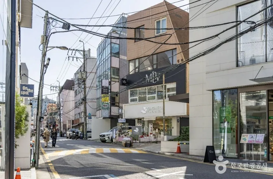 가로수길 사진 3