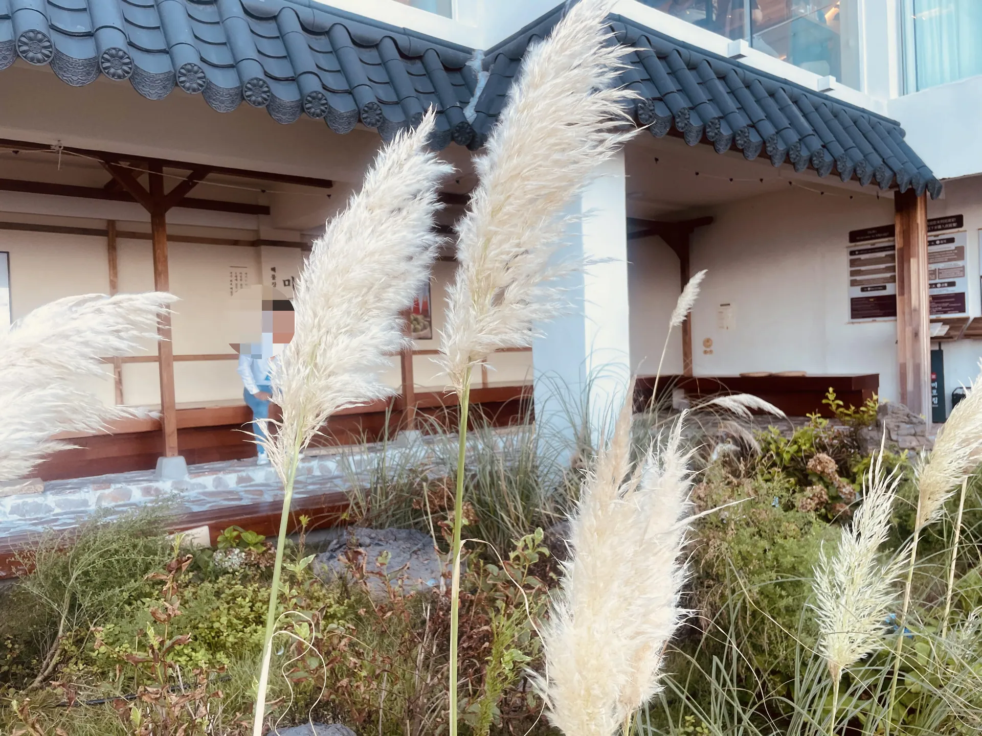 Exterior view of the exact Mipojip Songjeong branch and its building sign. One passerby/customer is incidental and face-pixelated; place remains the subject. Kept as additional context. Article published 2024-01-01T08:26:35+09:00; capture date unconfirmed.