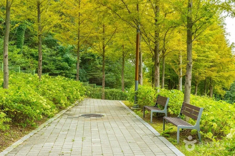 반송공원 반송공원 숲길