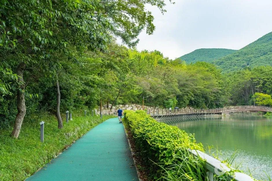 대천공원 (부산 해운대구 좌동·장산로) — 호수변 산책로
