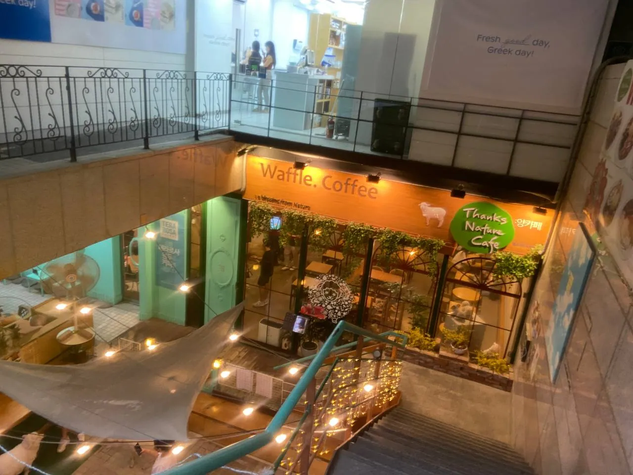 땡스네이쳐카페