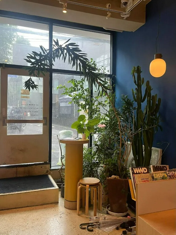 써머레인 사진 4