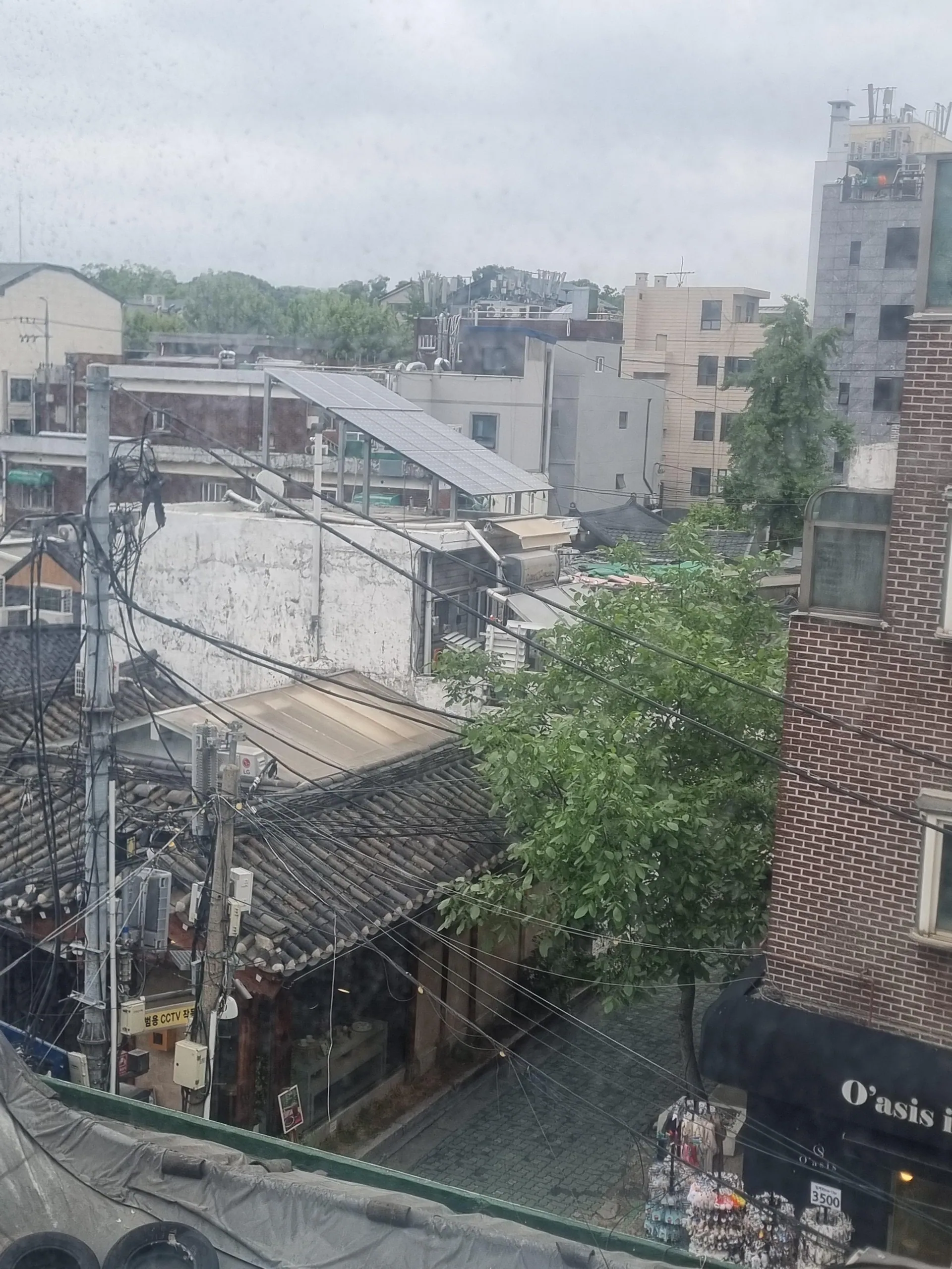 종로 카페) 디저트와 분위기로 자리 잡고 있는 낙원장