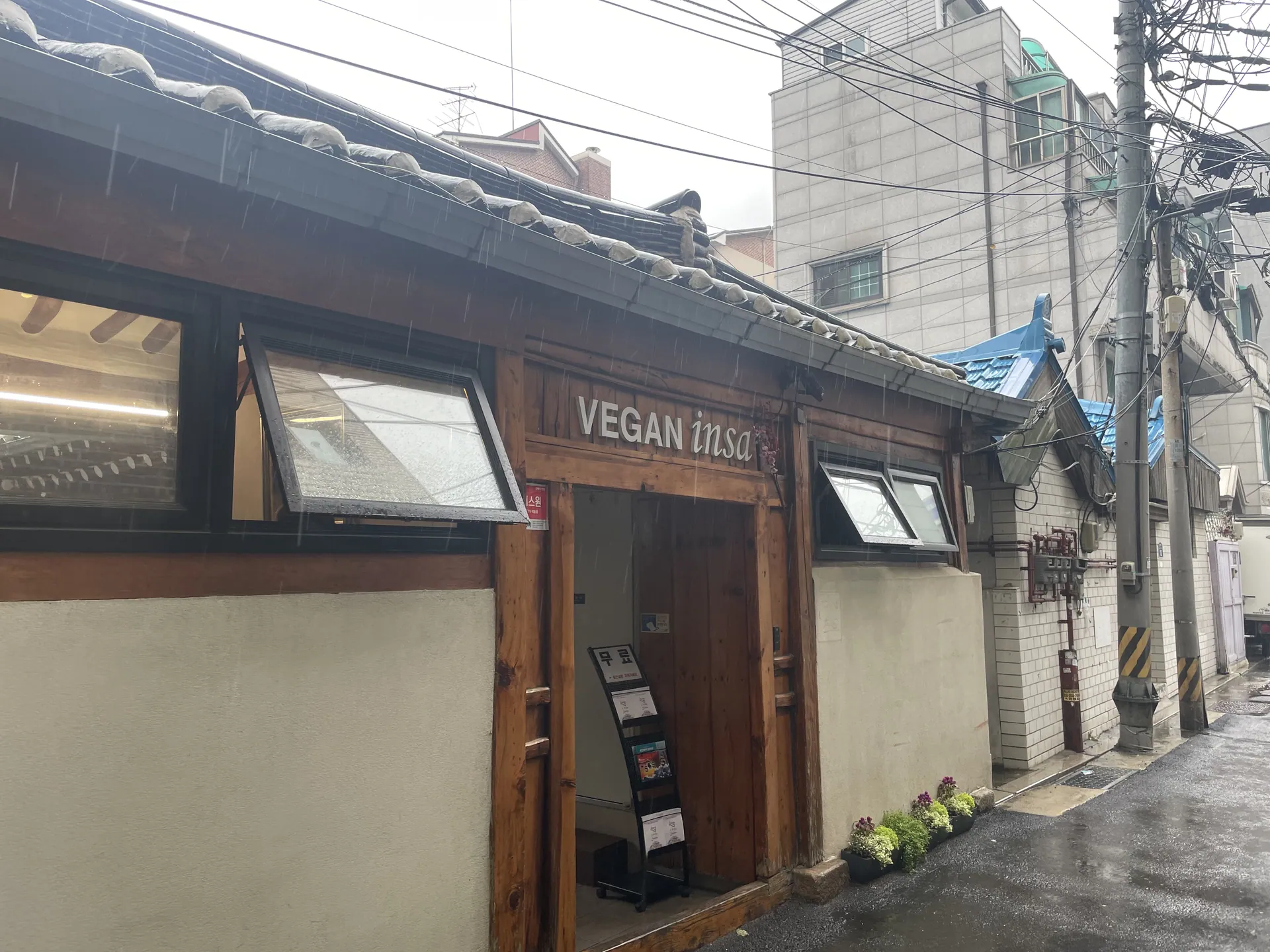 비건인사