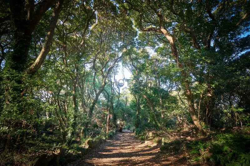 금산공원