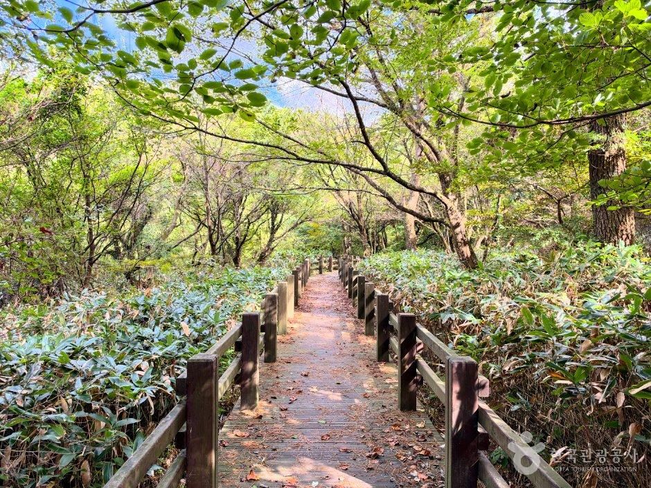 한라 생태숲