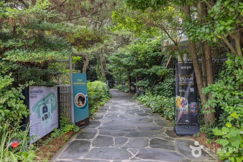 빛의 벙커 사진 3