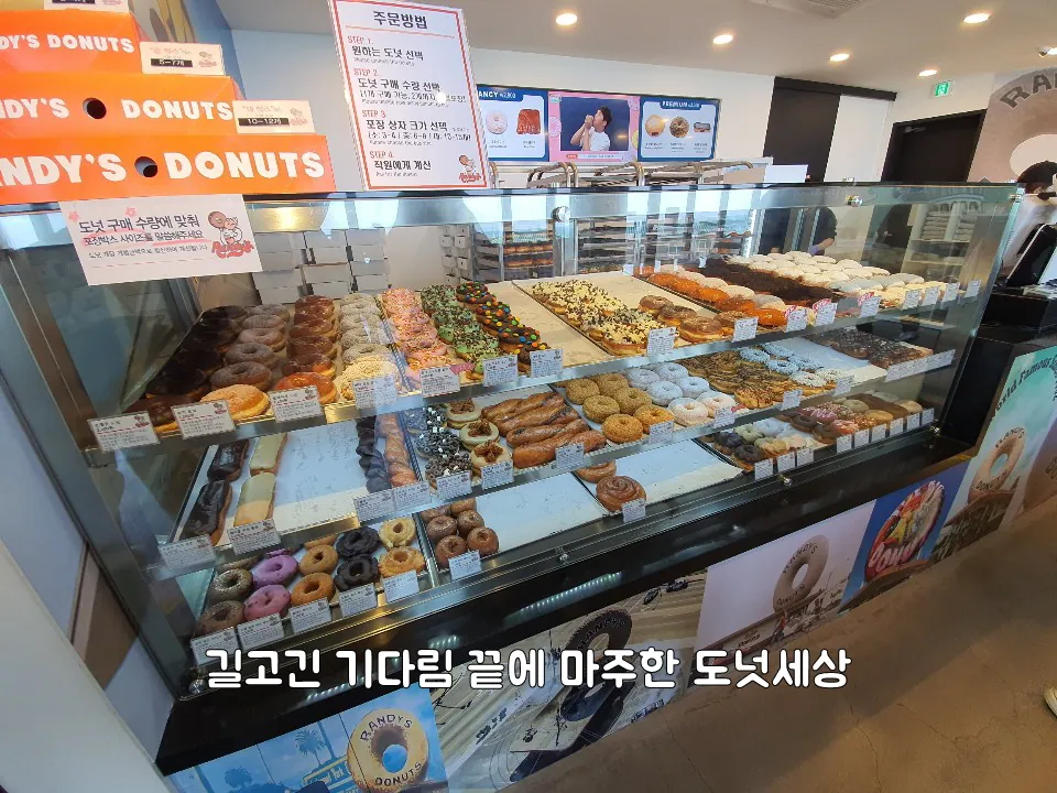 랜디스도넛 제주애월점 — 도넛 진열대 전경 (2021-03-08 게시, 촬영일 미확인)