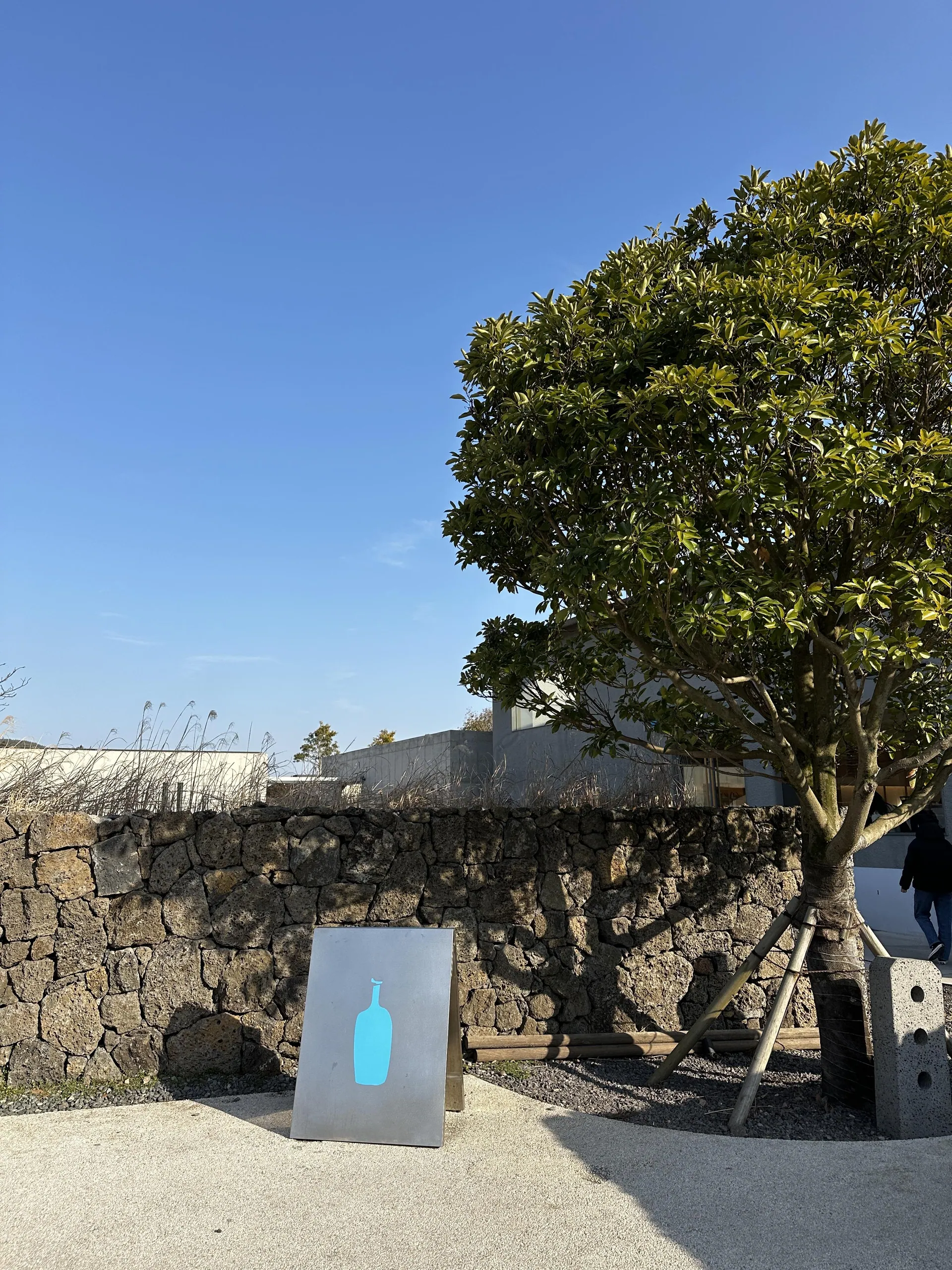 블루보틀 제주