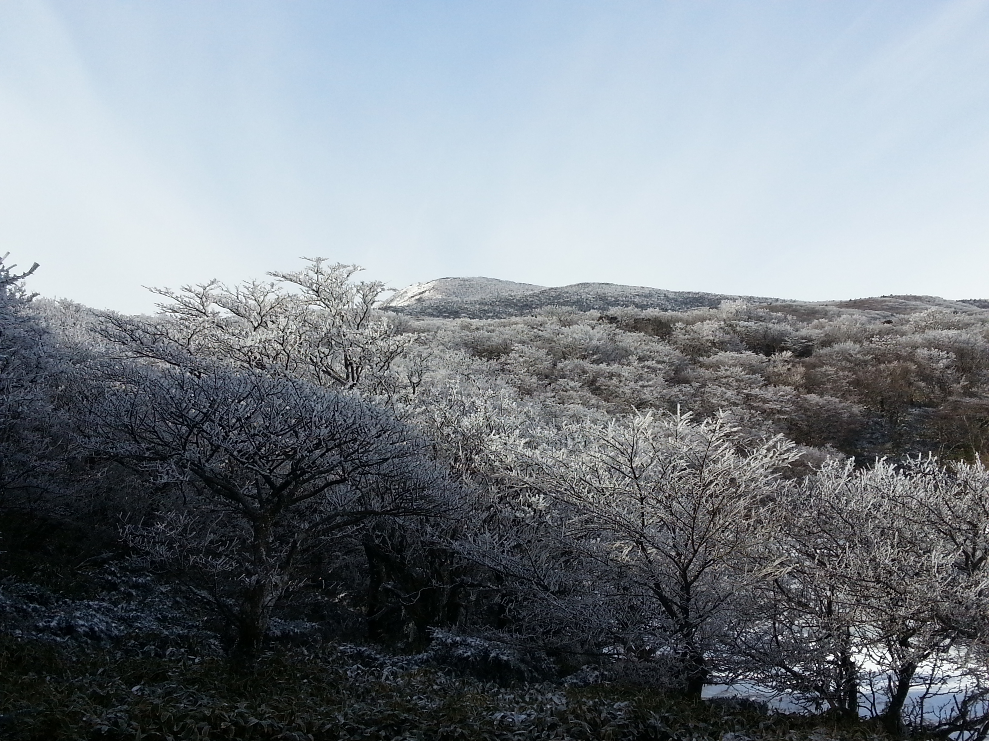 File:사라오름 겨울3.jpg · 자료 표기일 2016-12-24 11:21:44