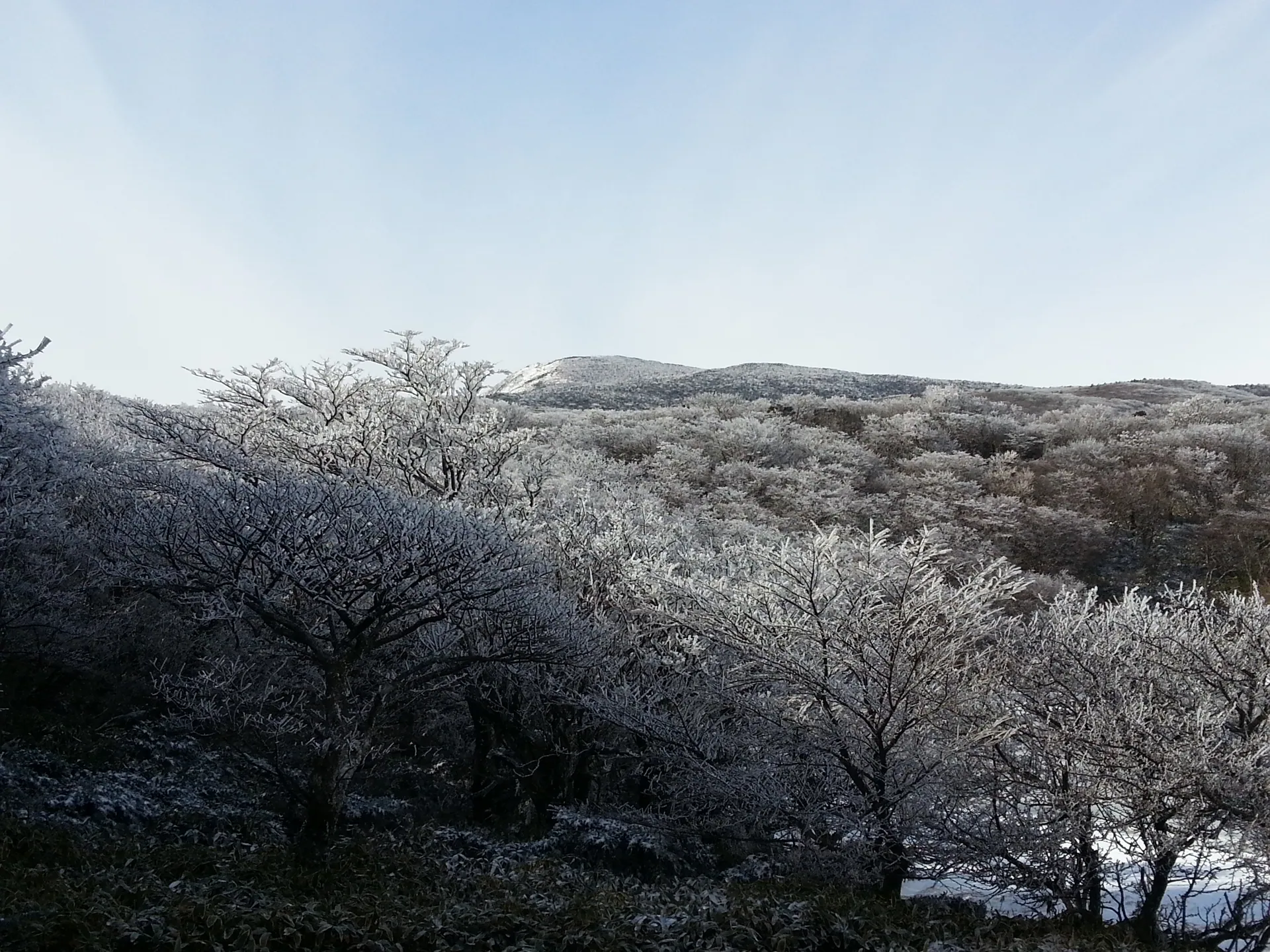 File:사라오름 겨울3.jpg · 자료 표기일 2016-12-24 11:21:44