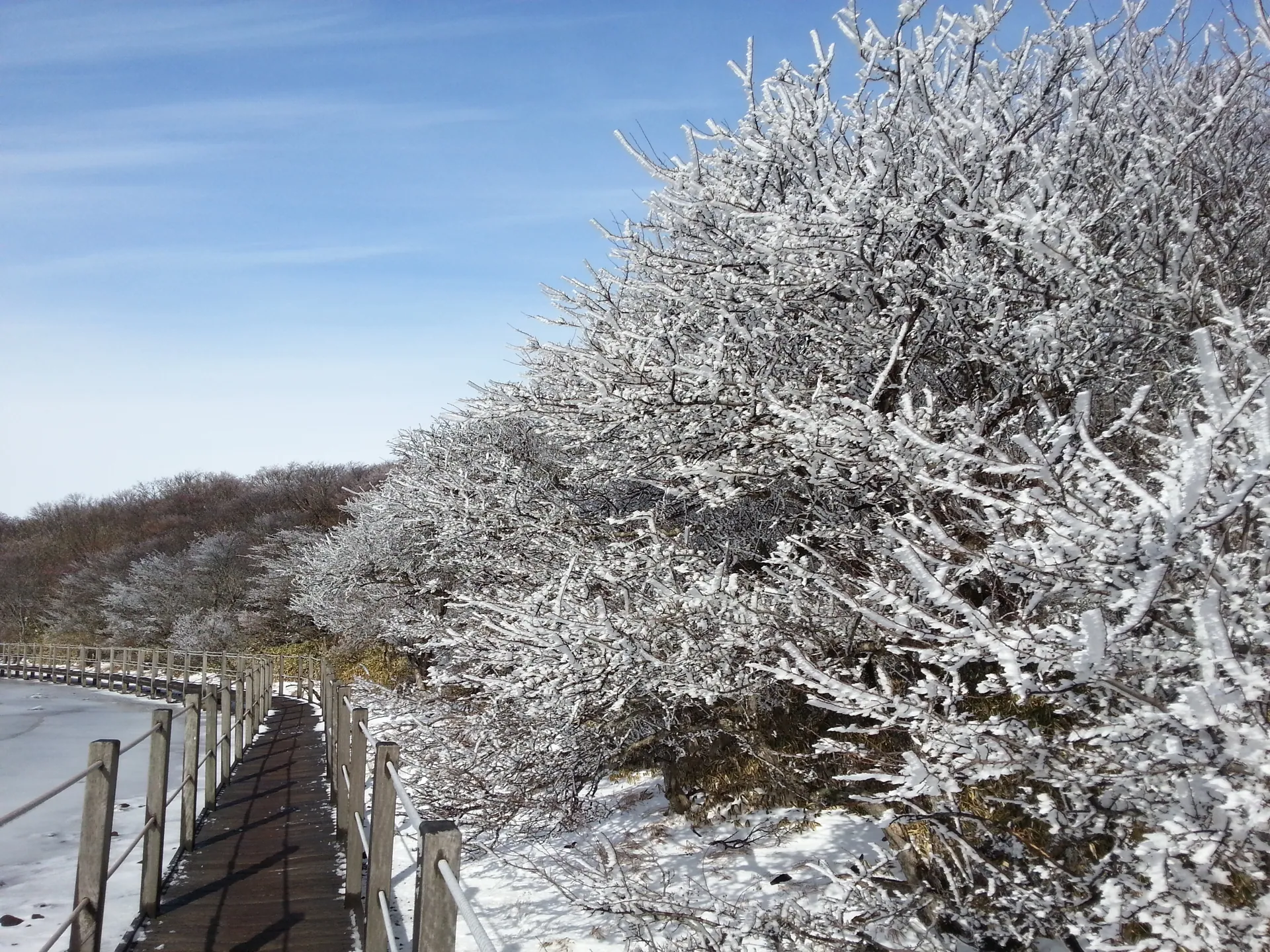 File:사라오름 겨울2.jpg · 자료 표기일 2016-12-24 11:18:57