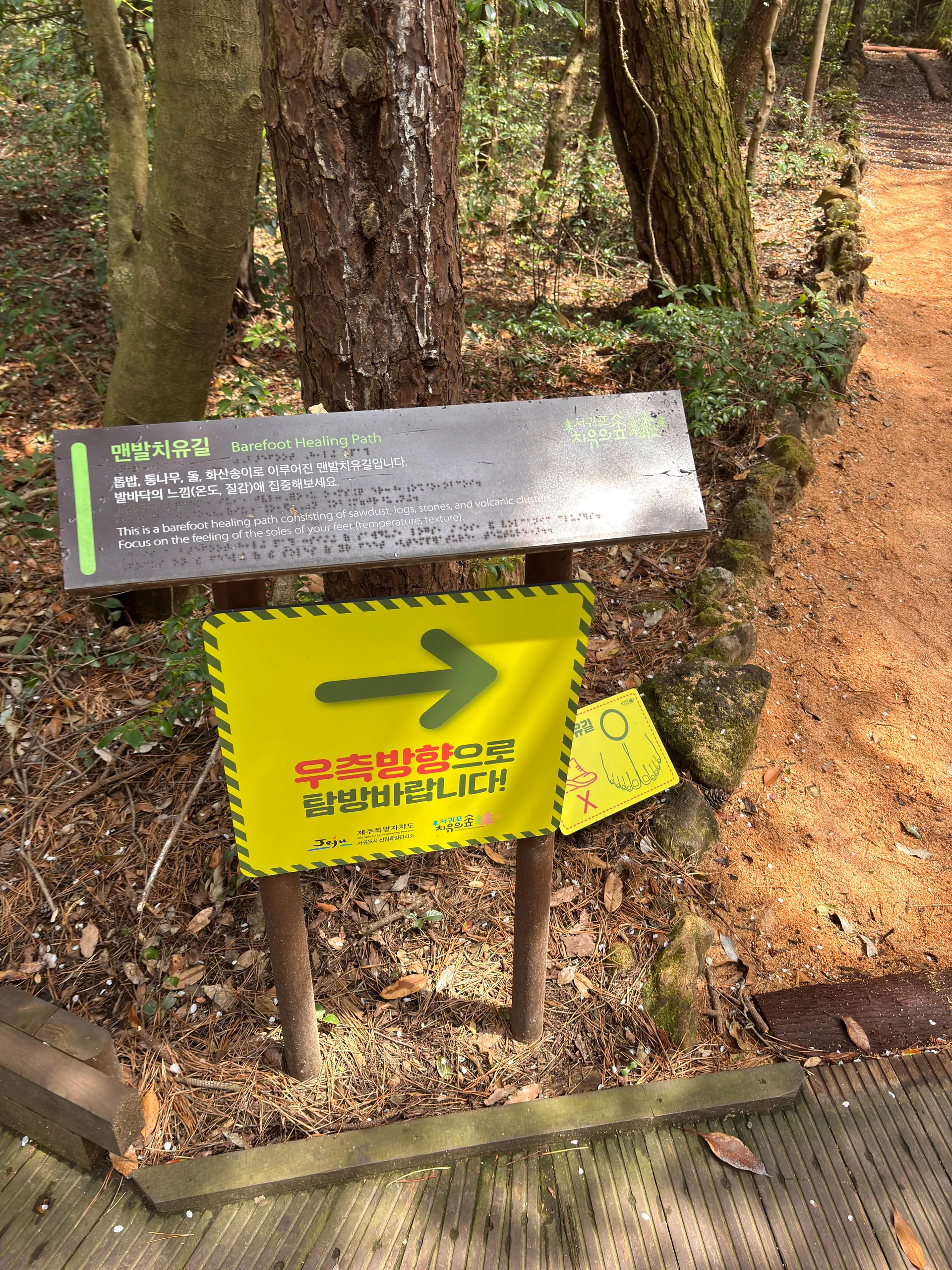 서귀포 치유의숲 — 무장애 탐방로와 맨발치유숲 안내 (2025-04-26 게시, 촬영일 미확인)