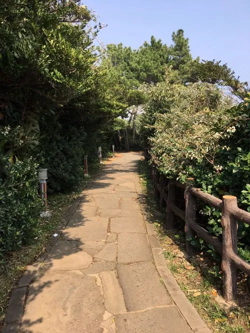 남원큰엉해안경승지 — 숲길과 목제 난간 (2018-04-11 게시, 촬영일 미확인)