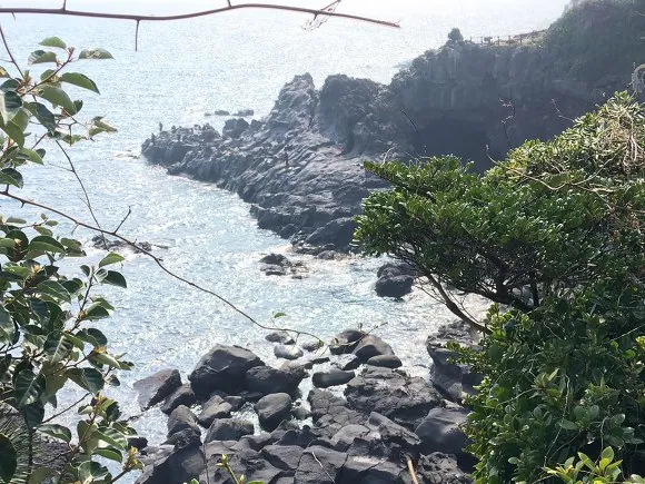 남원큰엉해안경승지 — 수풀 사이에서 내려다본 해안절벽 (2018-04-11 게시, 촬영일 미확인)