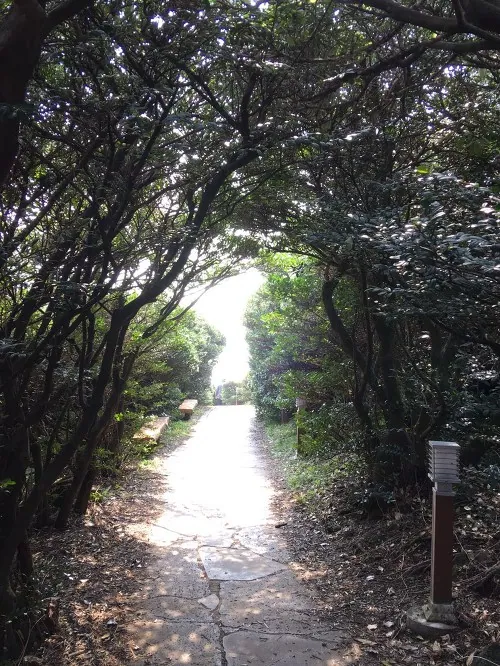 남원큰엉해안경승지 — 숲 터널 산책로 (2018-04-11 게시, 촬영일 미확인)