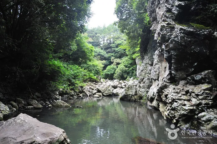 안덕계곡 — 안덕계곡 (촬영일 미확인)