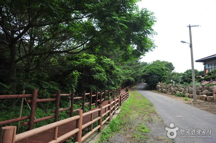 안덕계곡 — 안덕계곡상록수림지대 (촬영일 미확인)