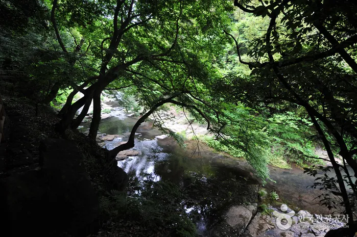 안덕계곡 — 안덕계곡 (촬영일 미확인)