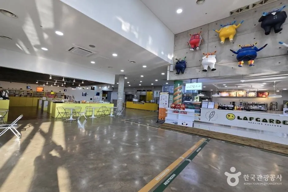 제주라프 — 제주라프_e (7) (촬영일 미확인)