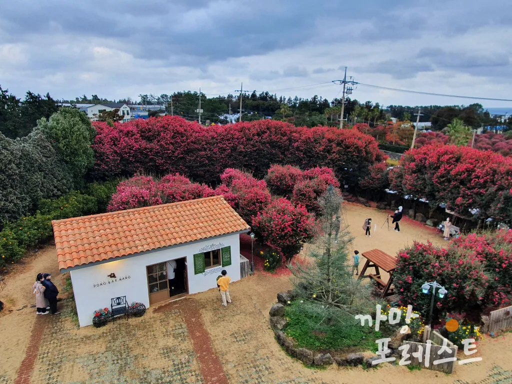 동박낭
