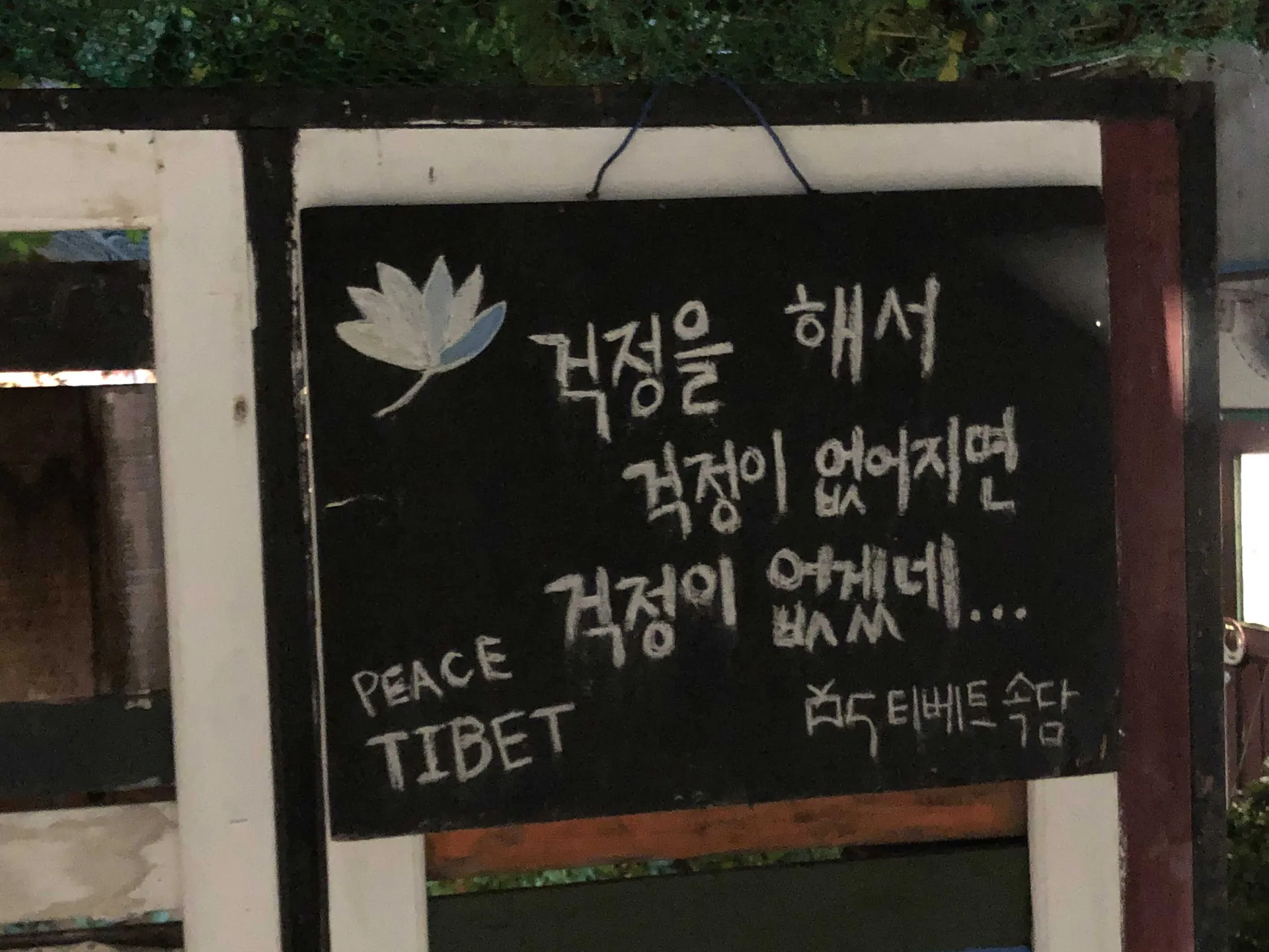 사직동그가게 · 원문 게시 당시 방문 사진 (2021-10-11T11:00:35+09:00). 사직동그가게 간판·실내·직접 주문 음식 확인. 다른 장소 야경·백과사전 캡처 제외; 포스터·삽화와 제3자 음식사진 중심 메뉴판 보류.
