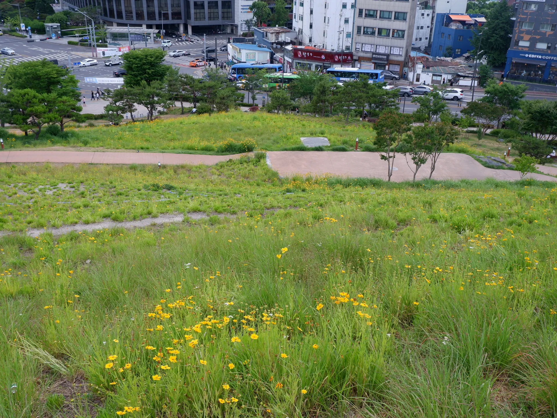 낙산 성곽길